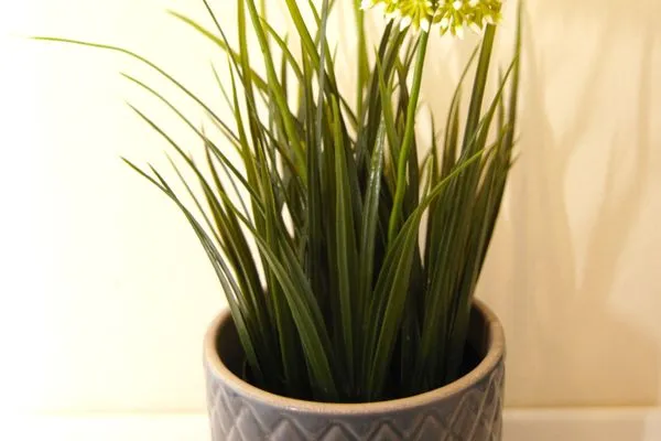   Friedrichs Stübchen *modern*Innenstadt*Stellplatz*