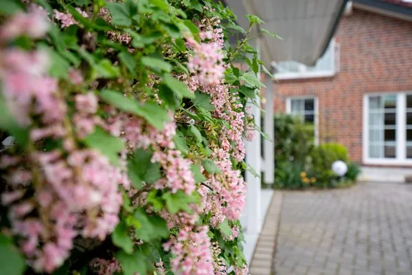 Fassade / Eingang  (BIR9a) Ferienwohnung Vahle 1