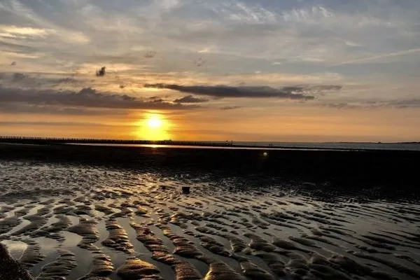  Breskens Laguna Chalet mit Zaun Haus Nr. A04