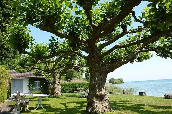  Ankerpletz Ferienwohnung Ankerplatz 4