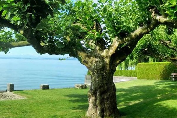  Ankerpletz Ferienwohnung Ankerplatz 2