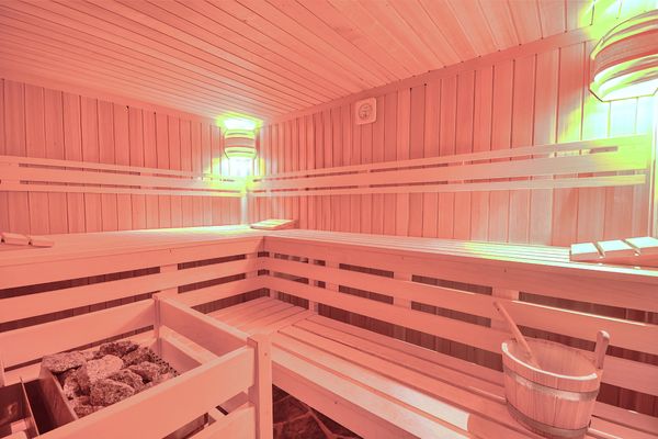  Appartement Eichenhof Top 2  - Sauna