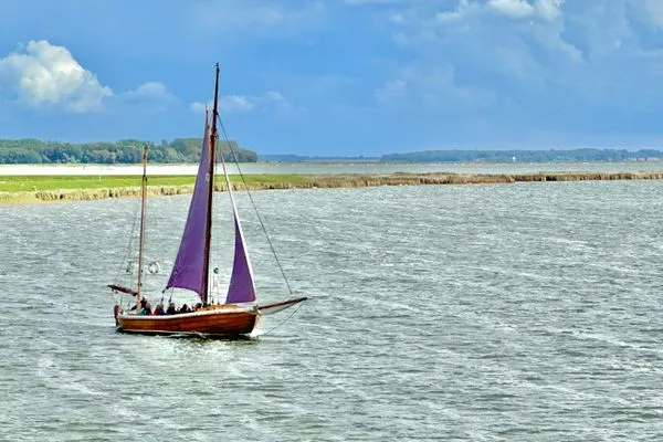 Bootstour auf dem Bodden Parkresidenz am Hafen Wohnung HF 12 - "Luftsnapper´s"