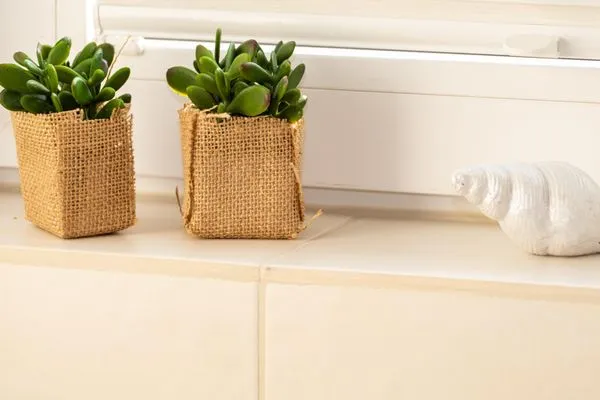   Ferienwohnung Kunterbunt Eckernförde