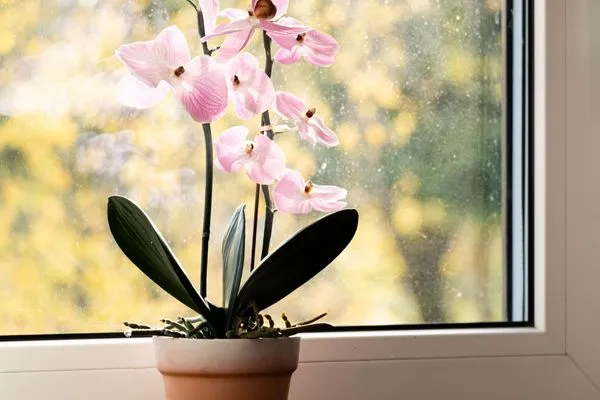   Ferienwohnung Kunterbunt Eckernförde