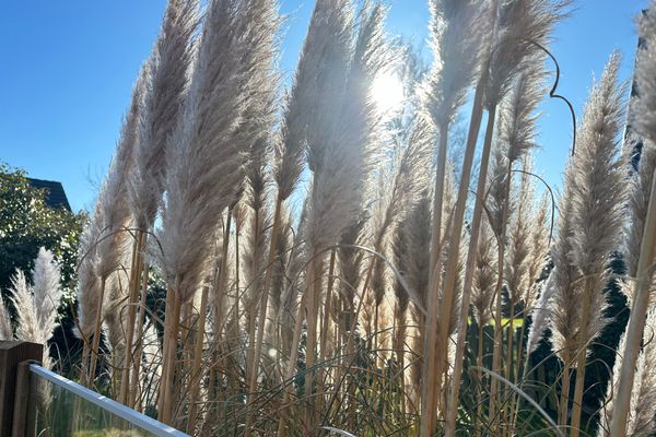  Haus Snörre Böhl - 