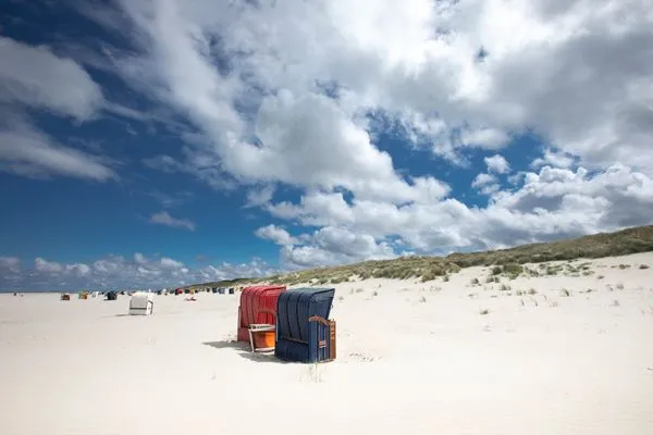 Strand  Strandläufer