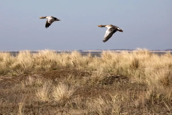 Landschaft  Kätemöh