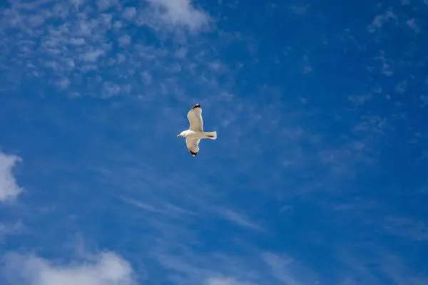 Landschaft  Kätemöh
