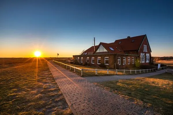 Landschaft  305 Puffin