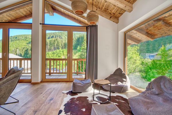  Chalet Schmitten Zell am See - Living room