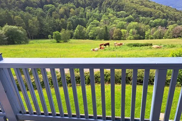 Balkon Ferienland Sonnenwald Ferienwohnung "Arberblick" Apartment 41