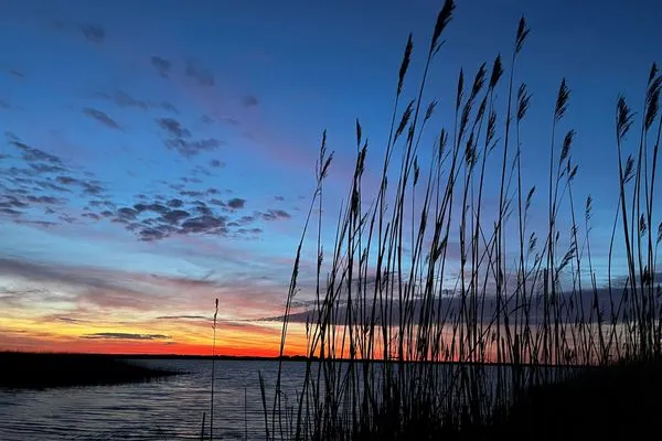Ferienhaus Ostseetraum Fuhlendorf - Landschaft  Ostseetraum