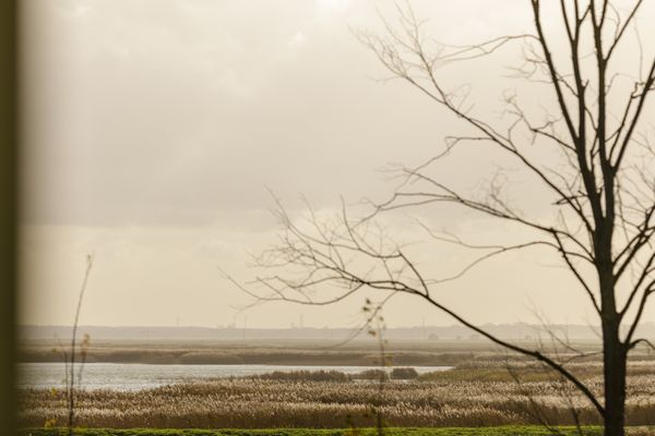 ALTE SEEFAHRTSCHULE App. 11 "Mohnblume" Ostseebad Wustrow - 