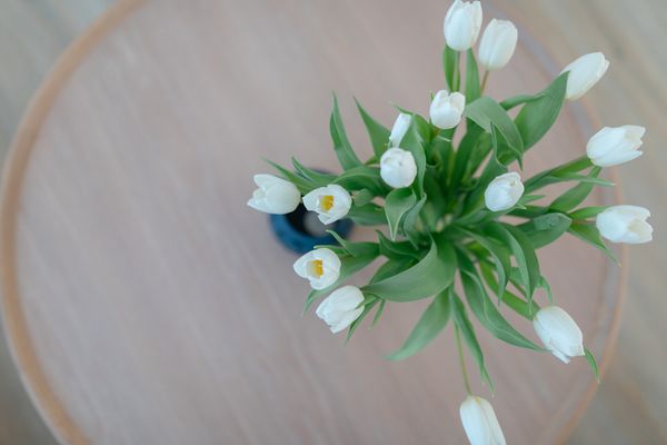  Dünensand Norderney-Siedlung - Dekoratives Detail