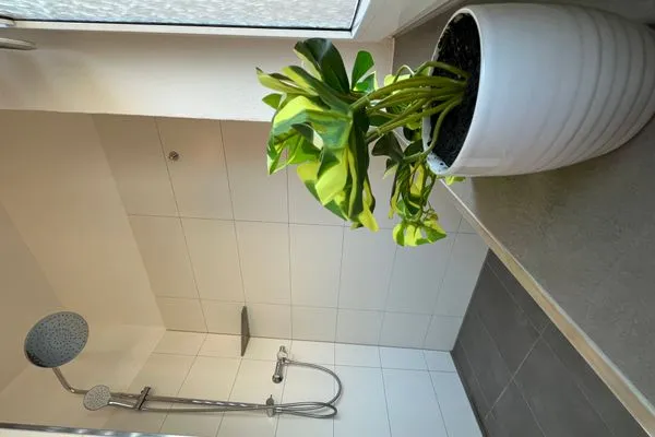   Wohnperle Oskar06 - zentral, Parkplatz