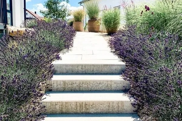   Fewo Bodensee Nenzingen