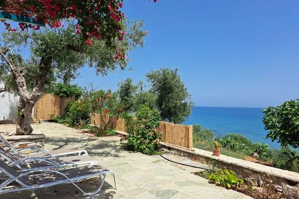 Meerblick  Blue Fox 1