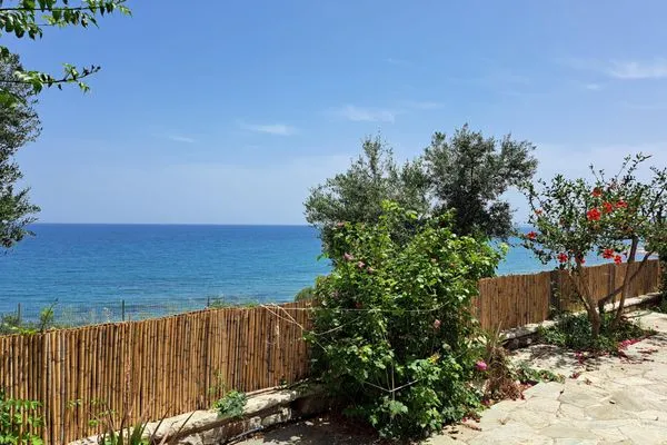 Meerblick  Blue Fox 1