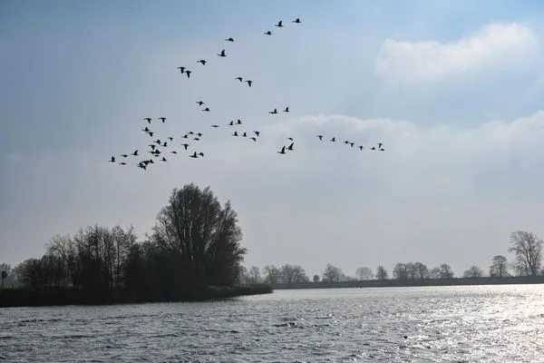 Landschaft Ferienpark Süderstapel - Eiderufer 2 Hundefreundlich