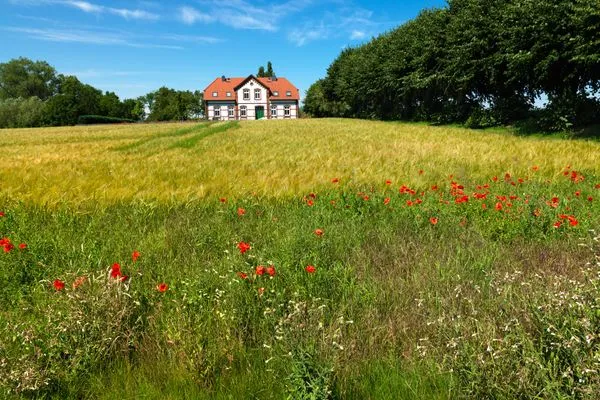 Scenery Ferienhäuser Hohmann FH Hohmann