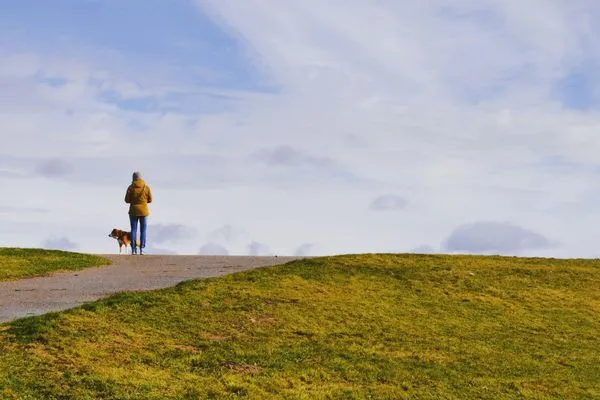 Hunde sind bei uns herzlich willkommen  Fördezauber