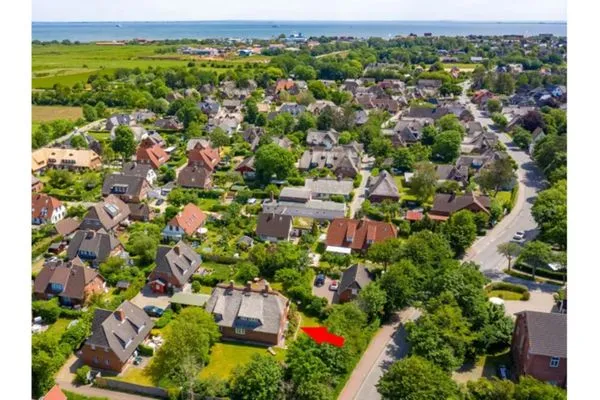   Wening-Hüs - "wening trii"