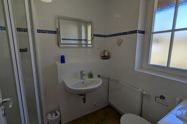  Haus Wikinger Born auf dem Darß - 