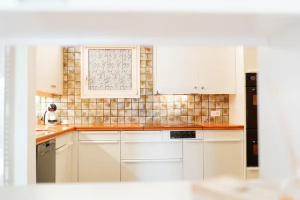 Kitchen  Apartment Mariahalden