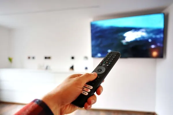 TV mit Fernbedienung  Ferienapartment Zur guten Quelle