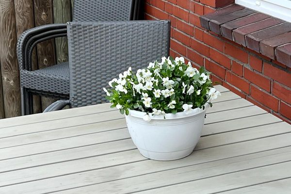  Haus Maverick Wittdün - Terrasse