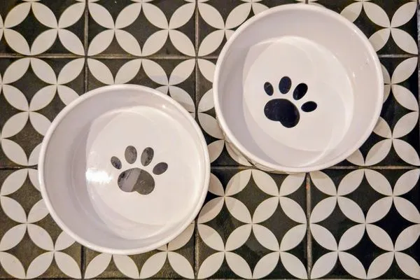 Küche / Küchenzeile  Lieblingssuite am Strand