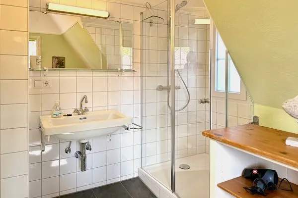  Ferienhaus am See Wasserburg - Badezimmer mit Dusche
