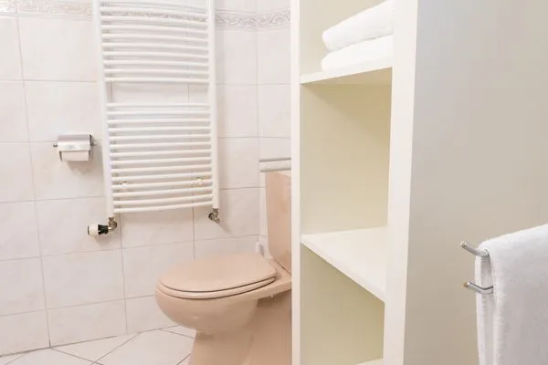 Badezimmer  Ferienhaus Tanne Höckli