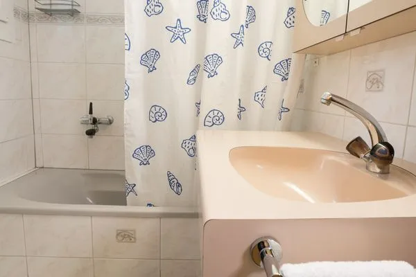 Badezimmer  Ferienhaus Tanne Höckli