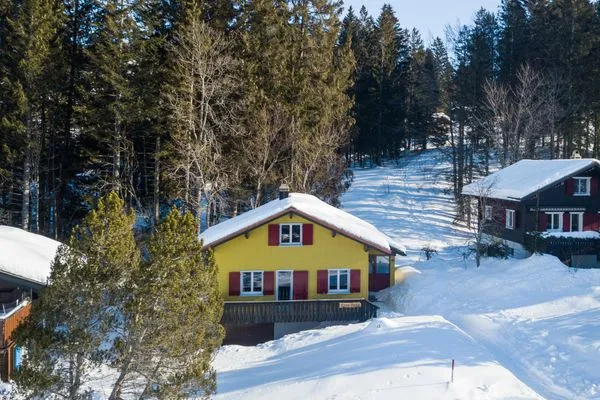 Vogelperspektive  Ferienhaus Tanne Höckli
