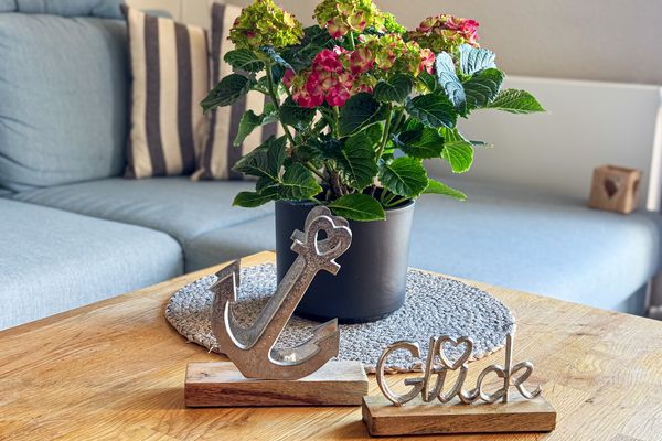 Panorama Schönberger-Strand Appartement 29 Schönberger-Strand - Dekoratives Detail