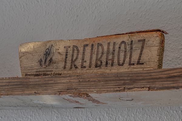  Treibholz Norderney - Dekoratives Detail