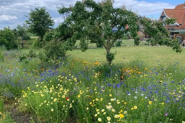 Sundblick, ideal für Familien-20  Sundblick, ideal für Familien