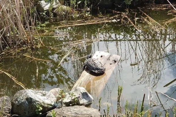 Ostsee Huus-19  Ostsee Huus