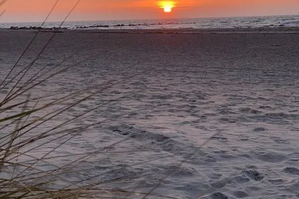 Meerbrise-12  Meerbrise