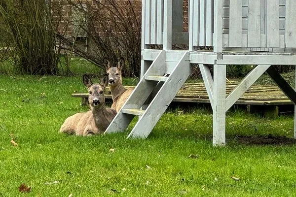 Landhaus Voss Wohnung 8-28  Landhaus Voss Wohnung 8