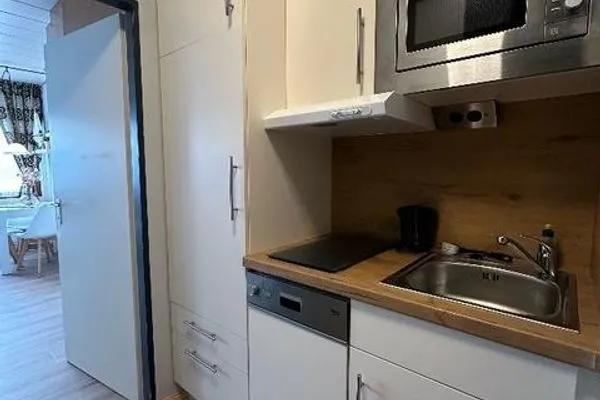 Seeschwalbe-8  Seeschwalbe