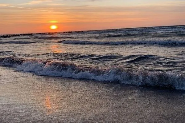 Seeschwalbe-11  Seeschwalbe