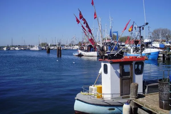 Hafenblick-13  Hafenblick