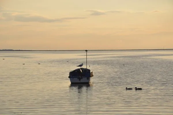 Hafenblick-14  Hafenblick