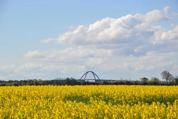 Komfort-Wohnung 03 FehmarnBrise-11  Komfort-Wohnung 03 FehmarnBrise