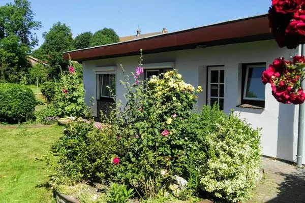 Hus Kalli-intro  Hus Kalli