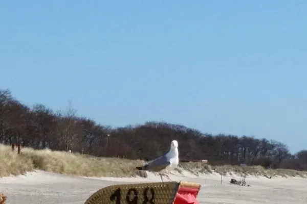 Strandburg "Tiefblau" 01.b-14  Strandburg "Tiefblau" 01.b