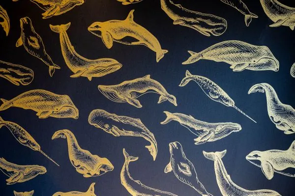 Buhne Buhne 2 SPO Ording - 